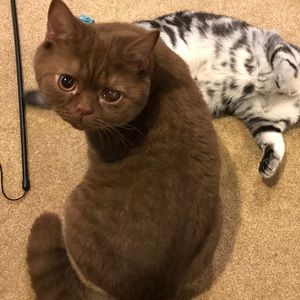 Meet your Posher, Jennifer